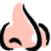 nose.jpg (1188 bytes)